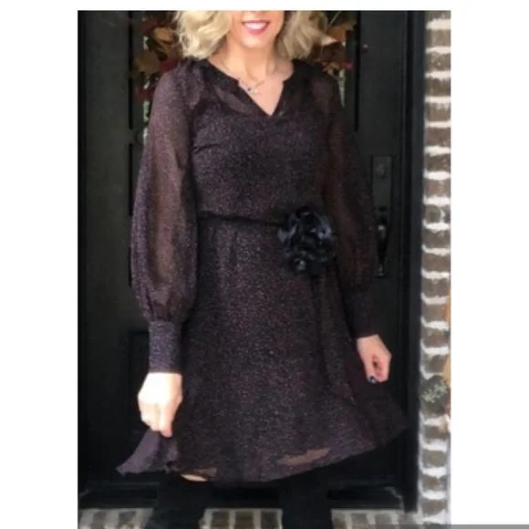 Cabi Dresses | Cabi Prowl Dress Long Sleeve SX Fall 2020 | Color: Black/Brown | Size: Xs | Teebo13's Closet